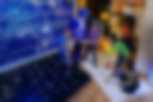 Квест Большой секрет