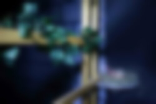 Квест Подземелье Черной луны на omsk.kvestinfo.ru Квест Подземелье Черной луны