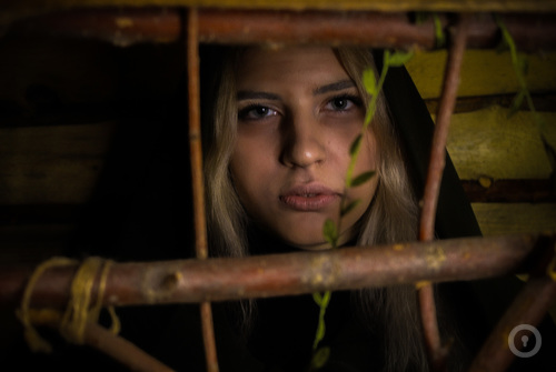 Квест У дома есть хозяин